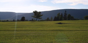 9 hole golfing nova scotia