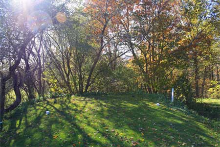 family golfing baddeck