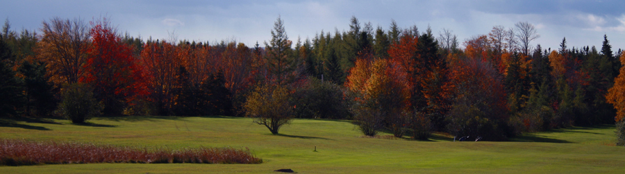 golfing cabot trail